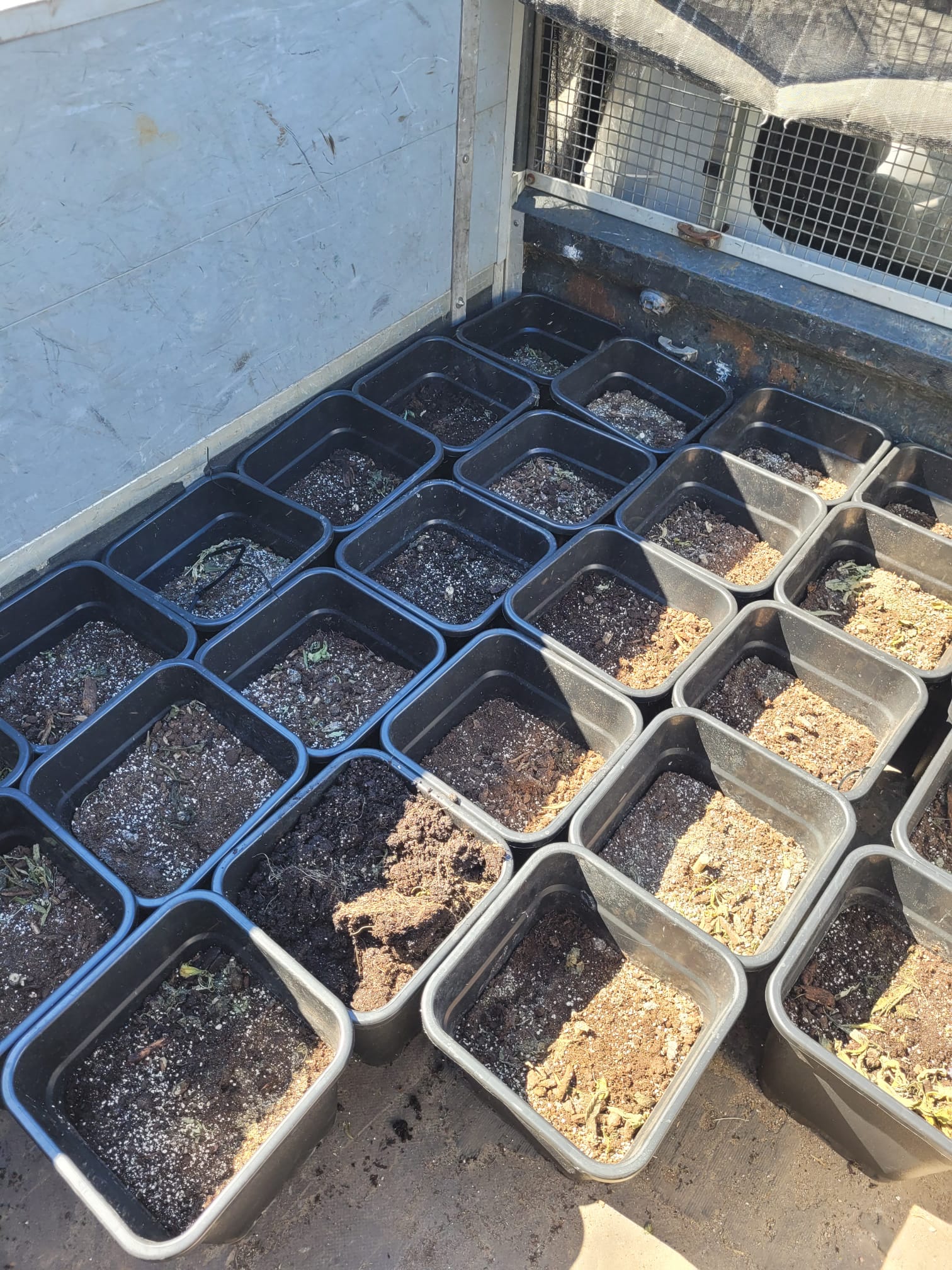 Wietplantage ontruimen en hennepkwekerij ontmantelen in Almelo